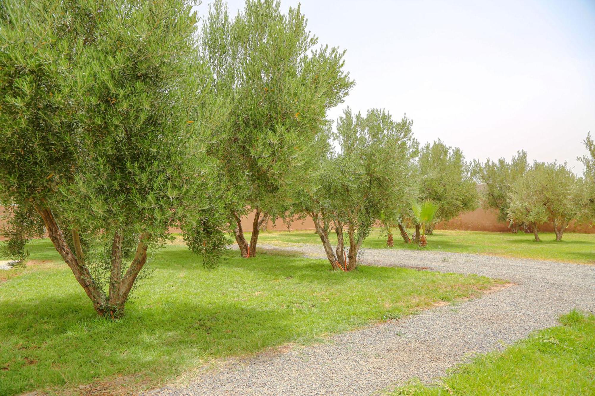 Domaine Dar Jmel & Dar Abi Samama Marrakesch